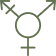 Transgender masculinization