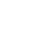 USP Icon